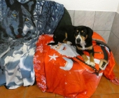 Pension_54