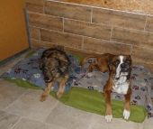 Pension_5