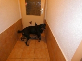 Pension_6