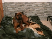 Pension_7
