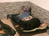 Pension_8