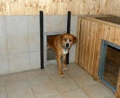 Pension_11