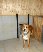 Pension_12