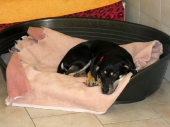 Pension_1