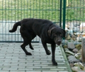 Pension_27