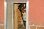 Pension_29