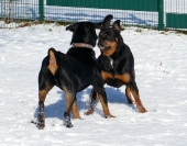 Pension_2