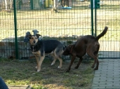 Pension_2