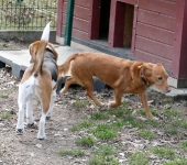 Pension_2