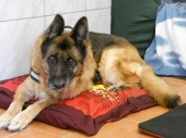 Pension_30