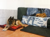 Pension_35