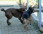 Pension_3