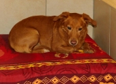 Pension_41