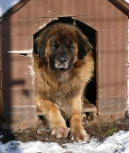 Pension_46