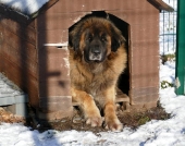 Pension_47