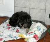 Pension_10