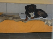 Pension_11