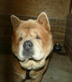 Pension_12