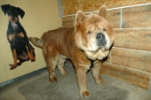 Pension_13