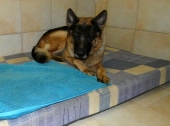Pension_13
