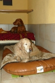 Pension_19