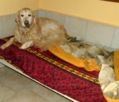 Pension_1