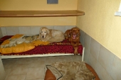 Pension_20