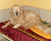 Pension_21