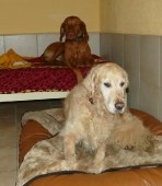 Pension_22