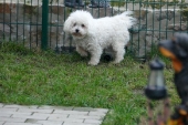 Pension_24
