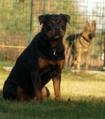 Pension_24
