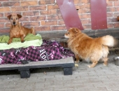 Pension_26