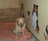 Pension_27