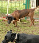 Pension_2