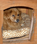 Pension_33
