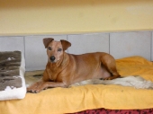 Pension_34