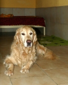 Pension_35