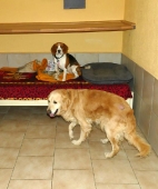Pension_48