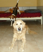 Pension_49