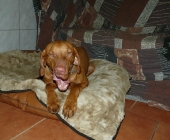 Pension_60