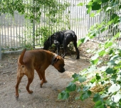 Pension_104