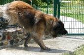 Pension_10