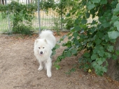 Pension_111