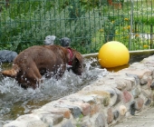 Pension_119