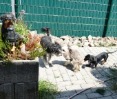 Pension_121