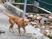 Pension_12