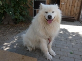 Pension_12