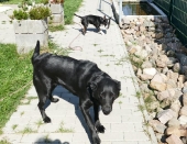 Pension_12