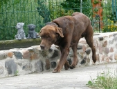 Pension_15