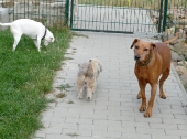 Pension_26